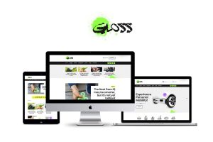 Download Gloss Viral News Magazine WordPress Blog Theme