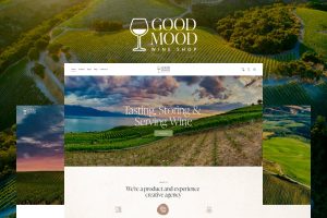 Download Good Mood Wine Shop WordPress Theme