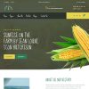 Download Grain Grower - Agriculture Farm HTML Template agriculture, agriculture farmer, dairy, dairy farm, eco, eco farm, farm, farmers, farming, health,