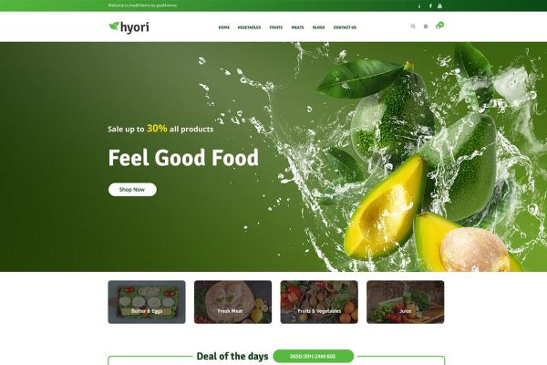 Download Hyori - Organic Food WooCommerce Theme