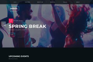 Download Jarvis - Night Club, Concert, Festival WordPress