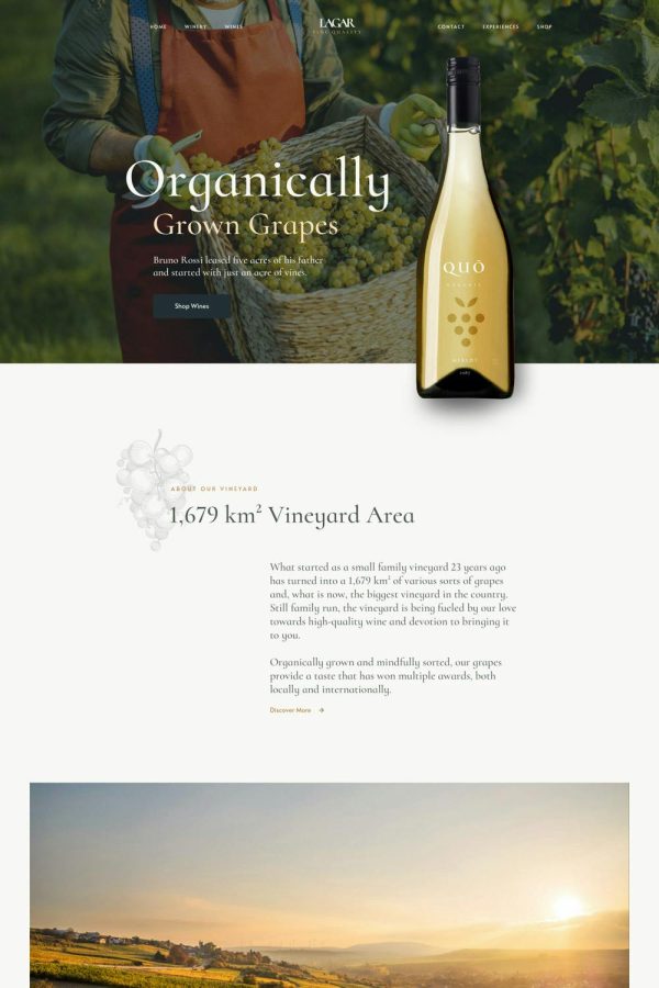 Download Lagar - Winery Wine WooCommerce WordPress Theme The Ultimate Niche WordPress WooCommerce Elementor Pro Theme for Wineries and Wine Stores