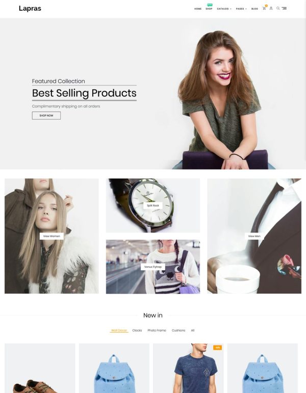 Download Lapras Responsive Shopify Theme