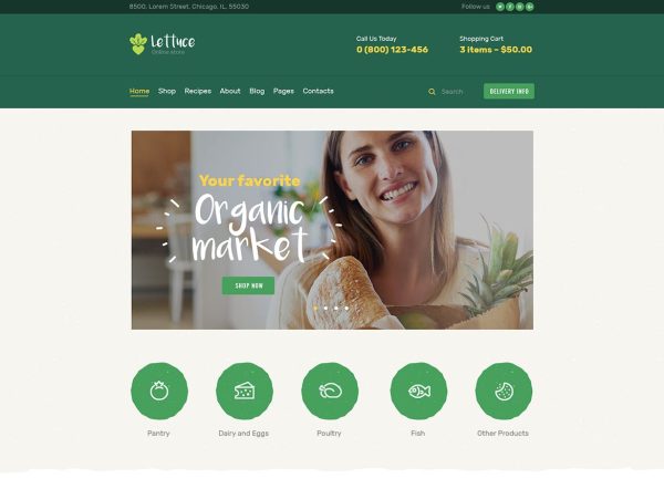 Download Lettuce Organic Food & Eco Products Store WordPress Theme