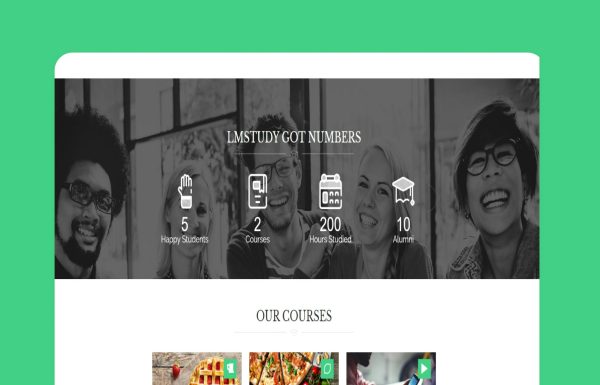 Download LMStudy - Education LMS WooCommerce Theme Education LMS WooCommerce Theme