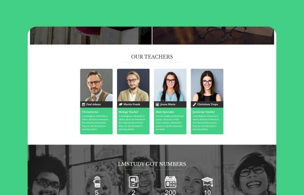 Download LMStudy - Education LMS WooCommerce Theme Education LMS WooCommerce Theme