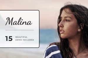 Download Malina - Personal WordPress Blog Theme Modern & stylish blog theme, that can give your readers an immersive browsing experience