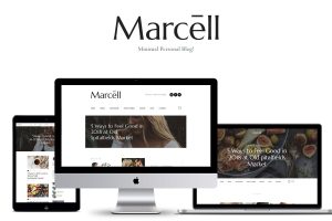 Download Marcell - Personal Blog & Magazine WordPress Theme 20+ Layouts Multi-Concept Personal Blog & Magazine WordPress Theme