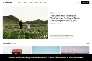 Download Minerva - Modern Blog WordPress Theme Elementor Modern News Magazine WordPress theme High Google Page Speed, Shop