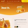 Download Modhu - Beekeeping and Honey WordPress Theme beekeeper, beekeeping, food, healthy food, honey, honey production, honey shop, organic, organic fo