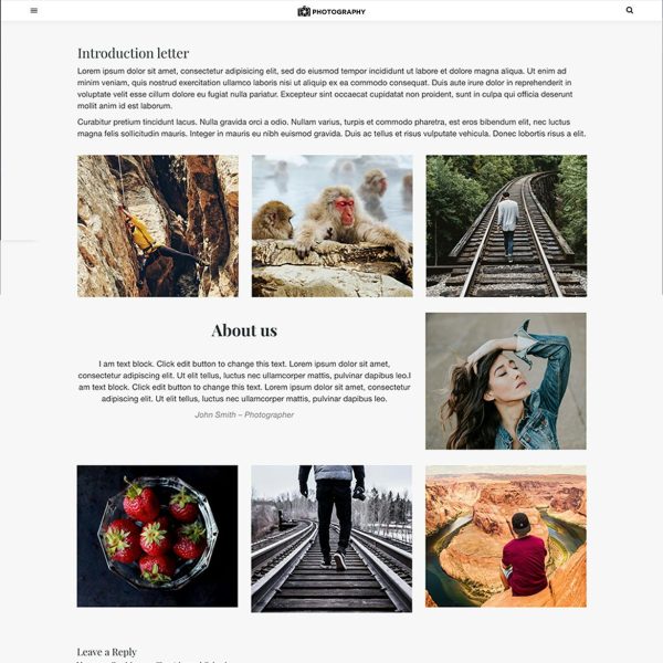Download MT Photography - Eye-catching, Unique Photography Eye-catching, Unique Photography WordPress Theme