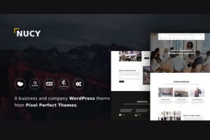 Download Nucy - Business & Company WordPress Theme