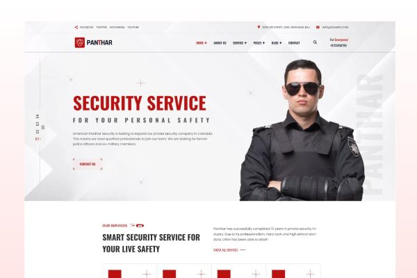 Download Panthar - Security & CCTV Service WordPress Theme Security, CCTV Service, bodyguards, Locksmith, Guard House, House Safety Services WordPress Theme