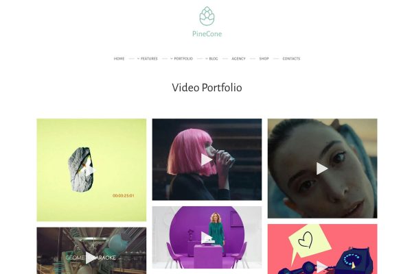 Download PineCone - Creative Portfolio and Blog for Agency Beautiful Creative Portfolio with Advanced Theme Options and Youtube/Vimeo Support
