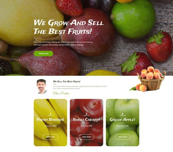 Download Preston Fruit Company & Organic Farming WordPress Theme