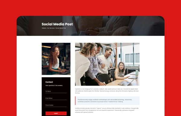 Download ReDesk - Content Writing & Copywriting Theme Content Writing & Copywriting Theme