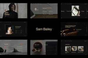 Download Sam Bailey - Personal CV/Resume WordPress Theme Bootstrap 5 theme, Onepage scroll, Parallax backgrounds, Landing page, Personal Template