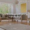 Download Scandi - Decor & Furniture Shop WooCommerce Theme Modern and multipurpose  eCommerce WordPress theme
