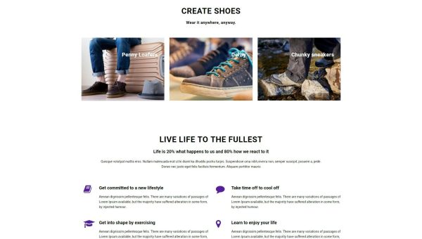 Download Shoe Zone | Shopify Theme for Shoe, Footwear Store