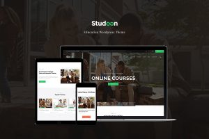 Download Studeon An Education Center & Training Courses WordPress Theme