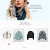 Download Terina - Multipurpose Elementor WooCommerce Theme