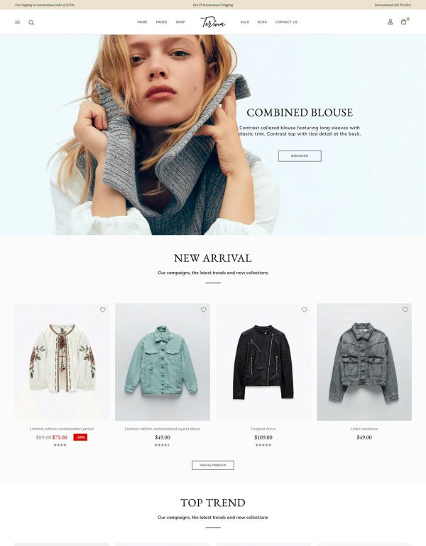 Download Terina - Multipurpose Elementor WooCommerce Theme