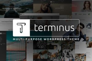 Download Terminus - Multi-Purpose WordPress Theme Terminus is a pixel perfect creative clean and modern multi-purpose WordPress + WooCommerce Theme.