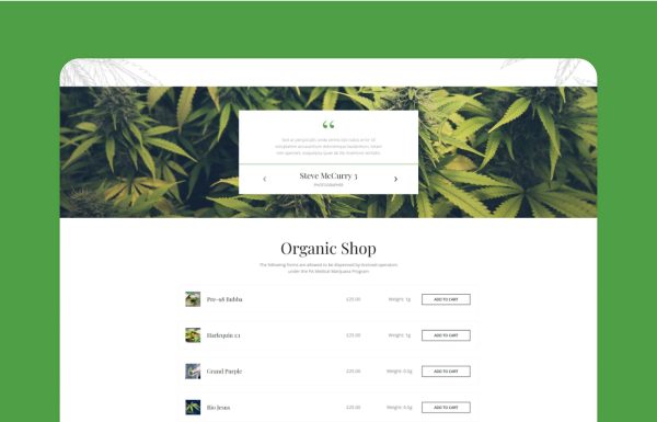 Download Tijuana - Marijuana Dispensary & Medical WordPress Marijuana Dispensary & Medical WordPress