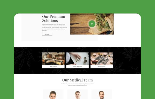Download Tijuana - Marijuana Dispensary & Medical WordPress Marijuana Dispensary & Medical WordPress