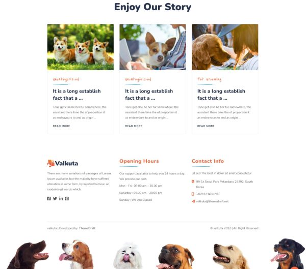 Download Valkuta - Pet WordPress Theme Pet Care And Pet Sitting, Pet Grooming And Pet Shop, Pets and Vets, Animal Care