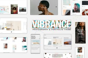 Download Vibrance - Photography Elementor Theme Ideal Photography WordPress theme to create a stunning photo gallery website.