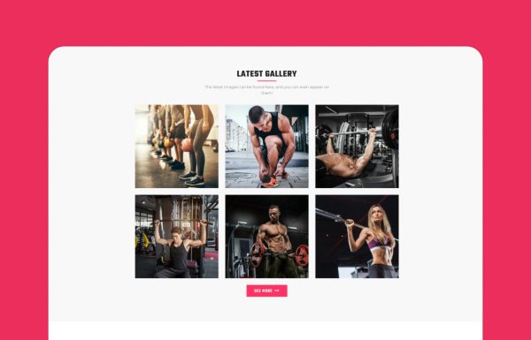 Download VUP - Fitness Center WordPress Theme Fitness Center WordPress Theme