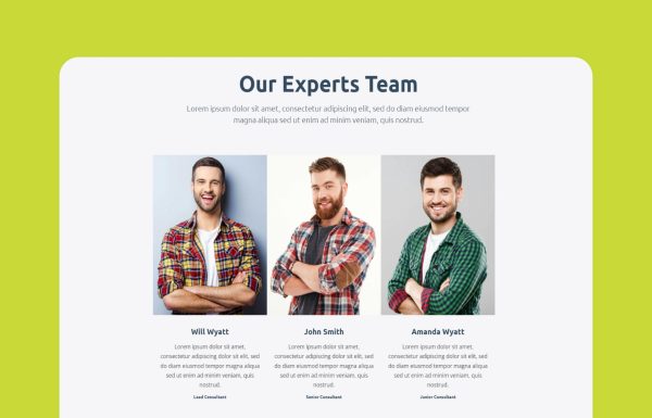 Download Yankee - Insurance & Consulting WordPress Theme Insurance & Consulting WordPress Theme