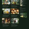 Download Greend - Gardening & Landscape Service Elementor Template Kit