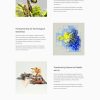 Download Neurai - Artificial Intelligence Elementor Template Kit