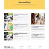 Download Nuxus - Online Payment Gateway Elementor Template Kit