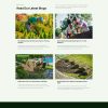 Download Turfgarden - Landscape & Gardening Elementor Template Kit