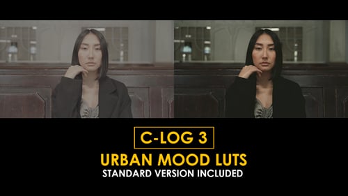 Download C-Log3 Urban Mood and Standard Color LUTs Apple Motion Template