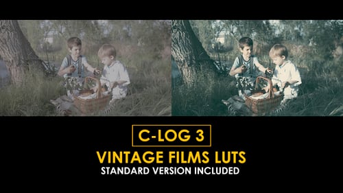 Download C-Log3 Vintage Film and Standard Color LUTs Apple Motion Template