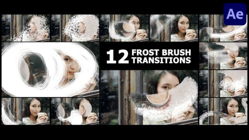 Download Frost Brush Painting Transitions | After Effects After Effect Template