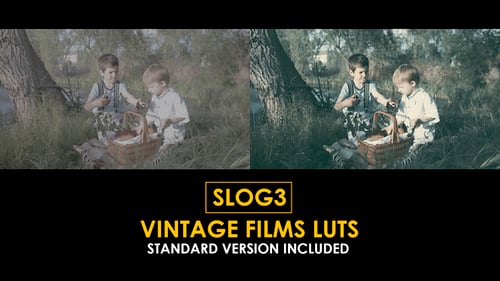 Download Slog3 Vintage Films and Standard Color LUTs Apple Motion Template