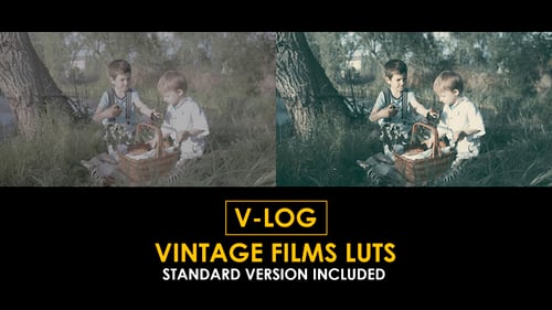 Download V-Log Vintage Film and Standard Color LUTs Apple Motion Template