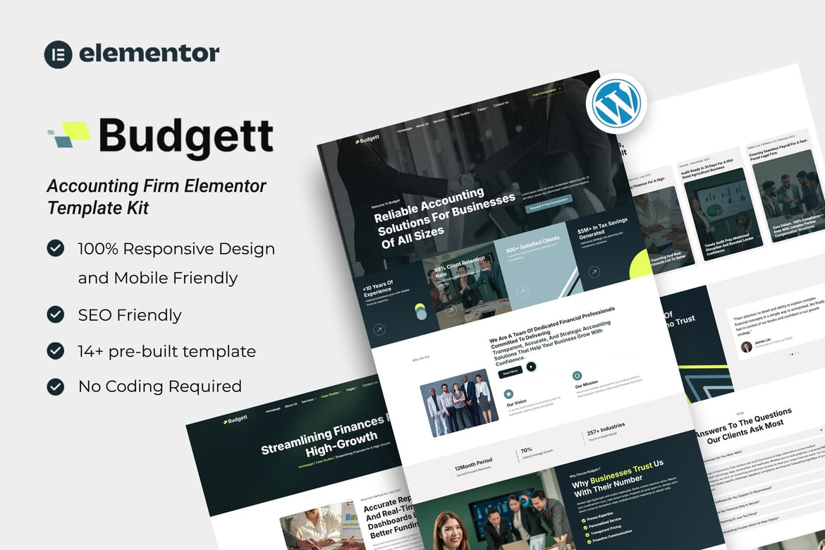 Download Budgett - Accounting Firm Elementor Template Kit