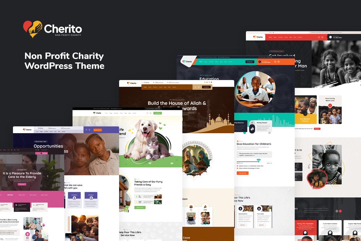Download Cherito - Non Profit Charity WordPress Theme