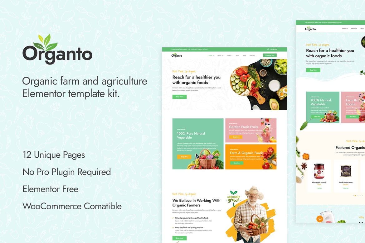 Download Organto - Organic Food Elementor Template Kit